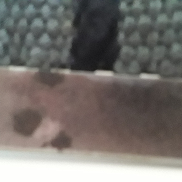 💛Belt - Picture 4 of 4